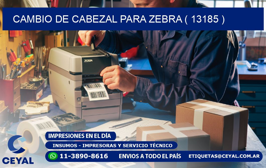 CAMBIO DE CABEZAL PARA ZEBRA ( 13185 )