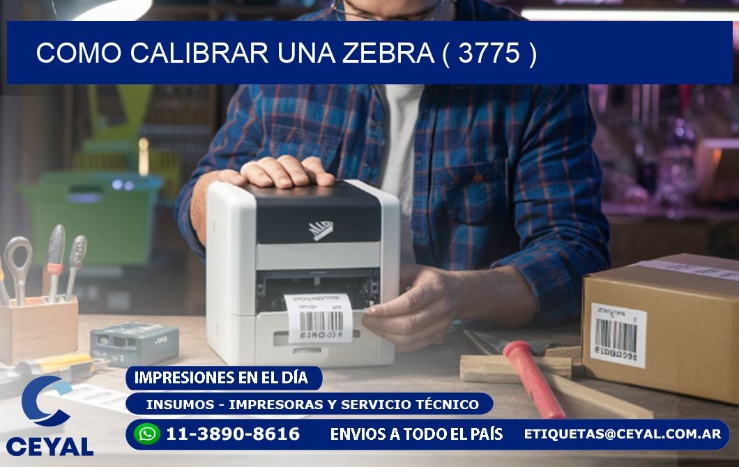 COMO CALIBRAR UNA ZEBRA ( 3775 )
