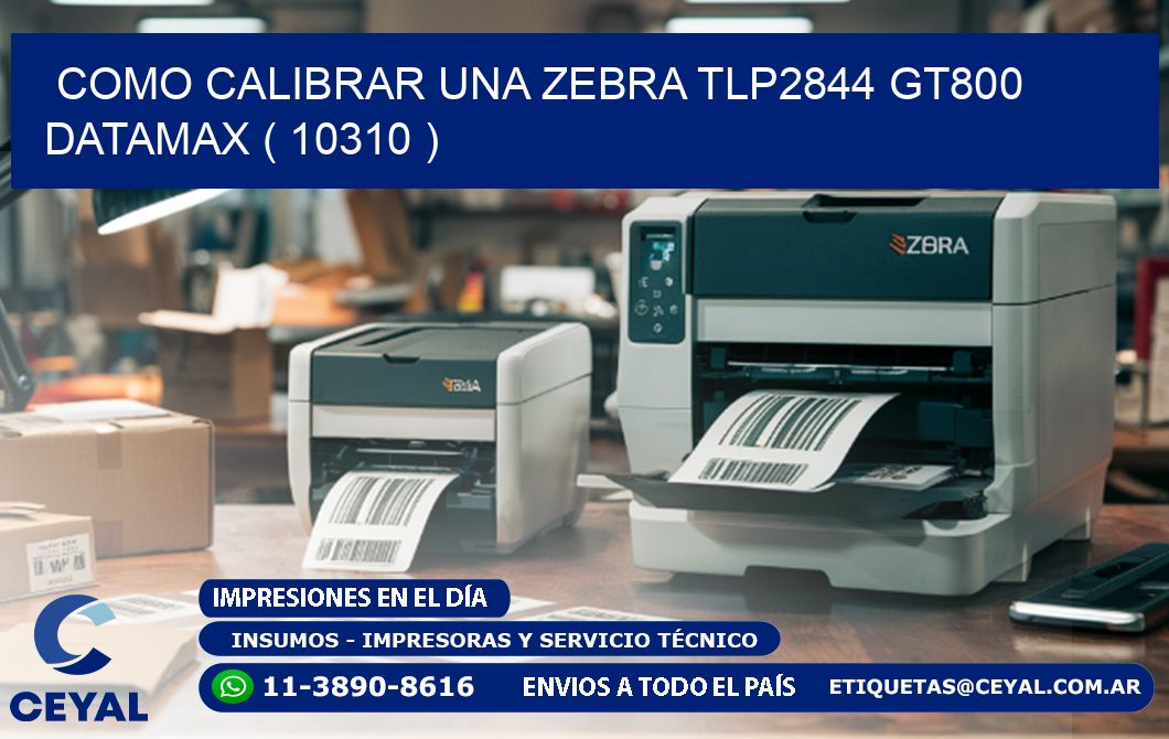 COMO CALIBRAR UNA ZEBRA TLP2844 GT800 DATAMAX ( 10310 )