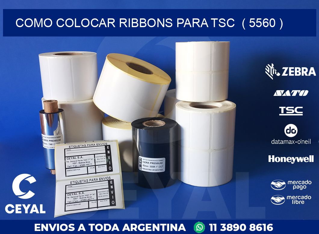 COMO COLOCAR RIBBONS PARA TSC  ( 5560 )