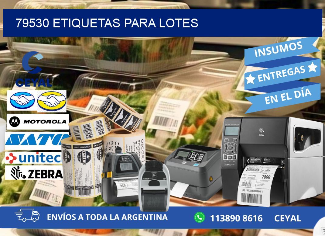 79530 ETIQUETAS PARA LOTES