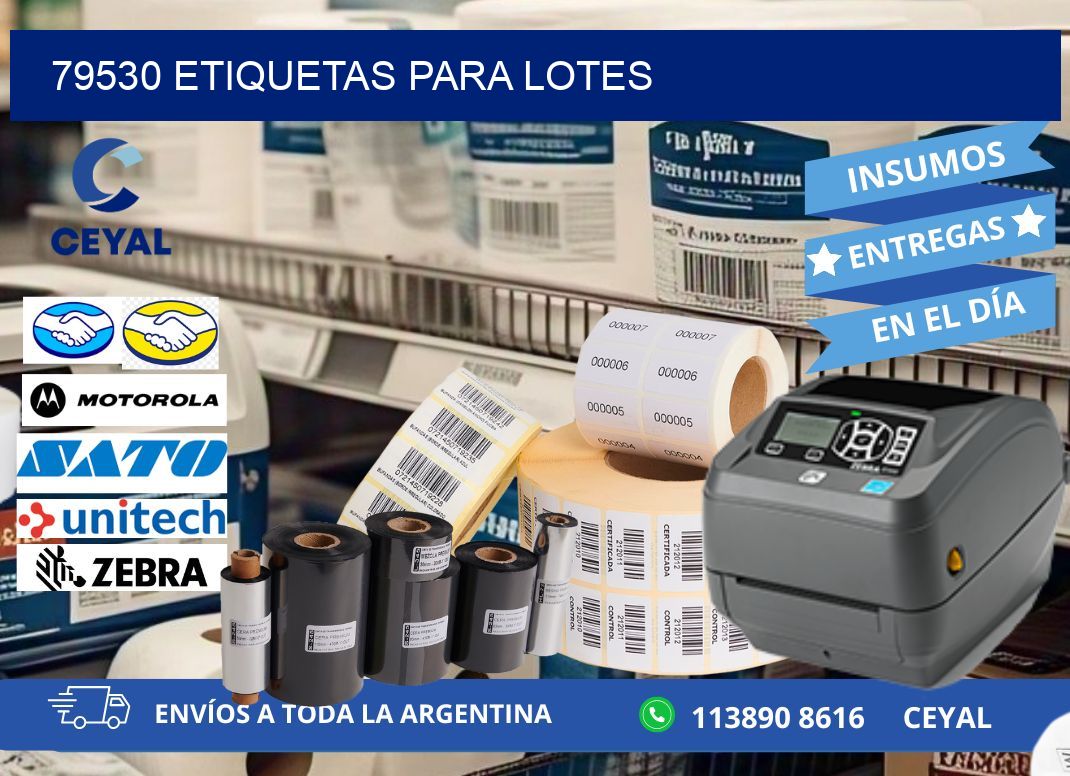 79530 ETIQUETAS PARA LOTES