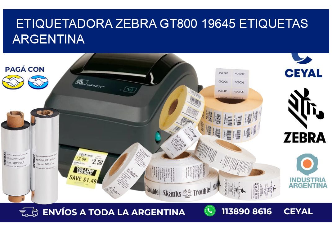 etiquetadora zebra gt800 19645 etiquetas argentina
