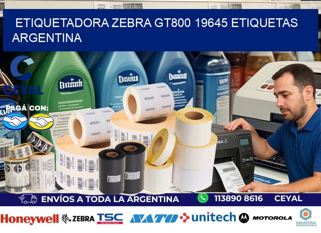 etiquetadora zebra gt800 19645 etiquetas argentina