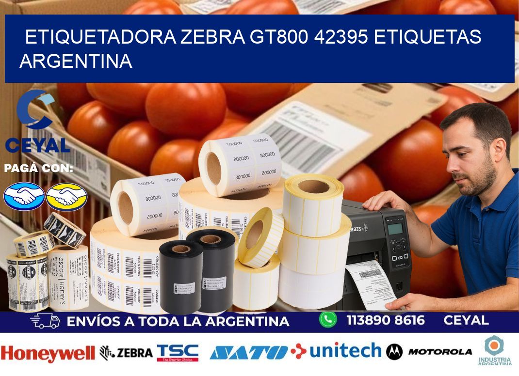 etiquetadora zebra gt800 42395 etiquetas argentina