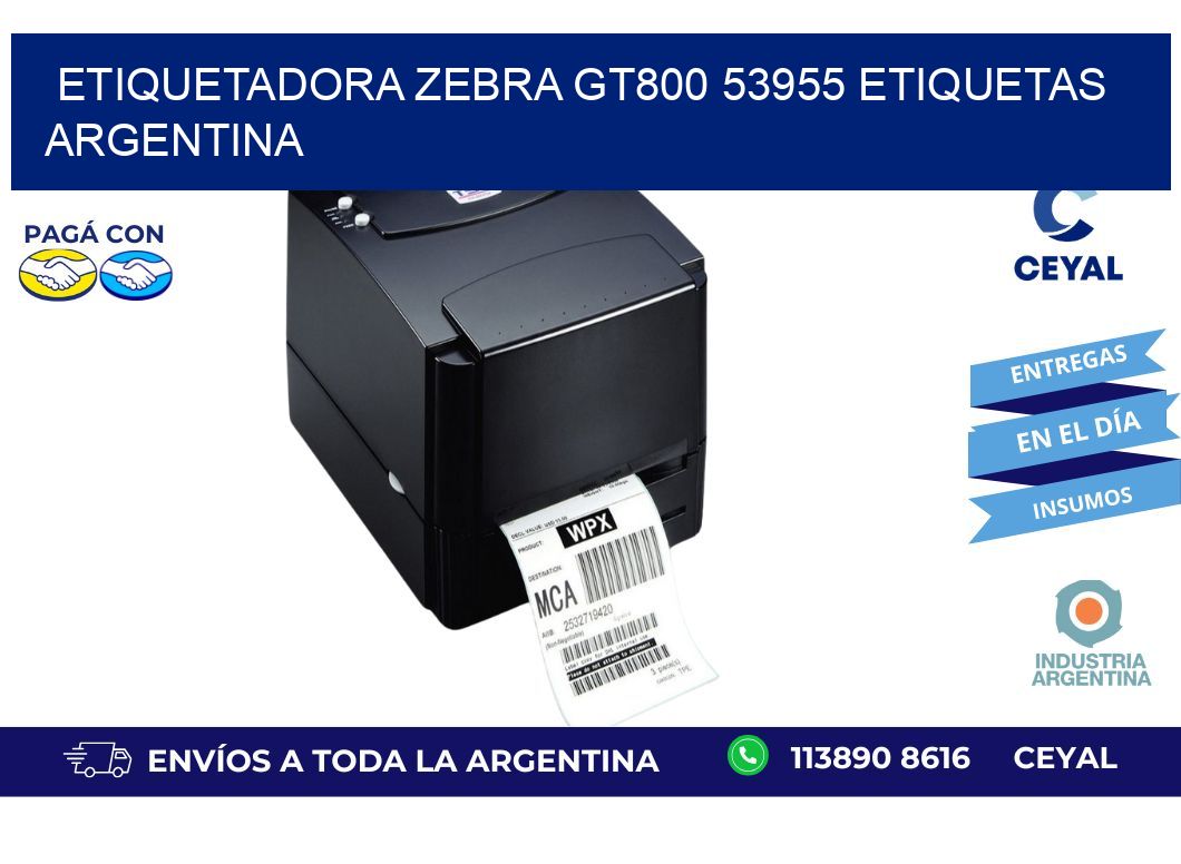 etiquetadora zebra gt800 53955 etiquetas argentina