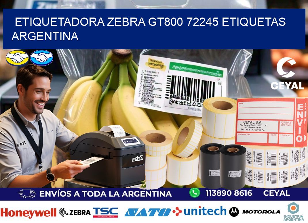 etiquetadora zebra gt800 72245 etiquetas argentina