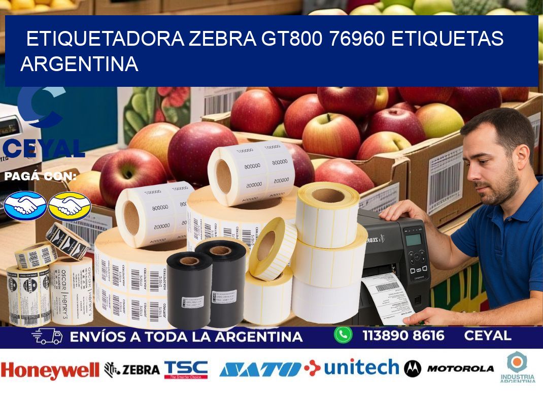 etiquetadora zebra gt800 76960 etiquetas argentina