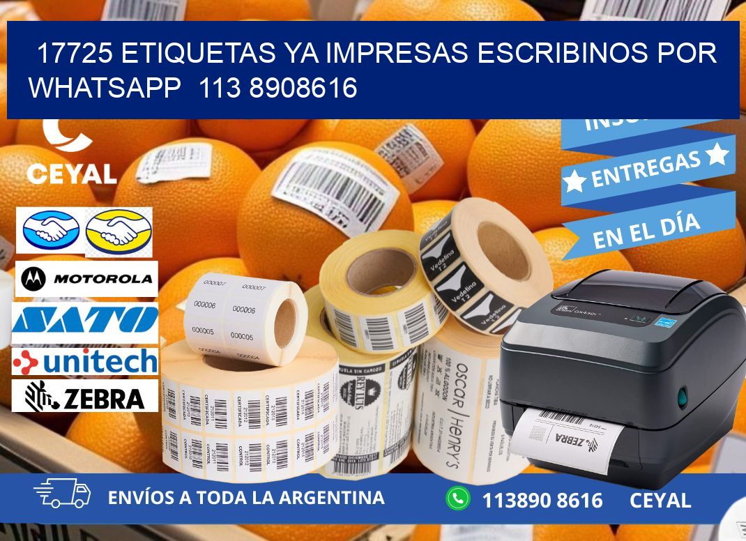 17725 ETIQUETAS YA IMPRESAS ESCRIBINOS POR WHATSAPP  113 8908616