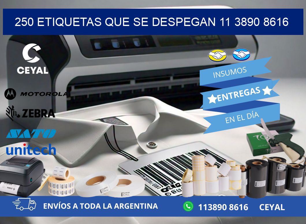 250 ETIQUETAS QUE SE DESPEGAN 11 3890 8616