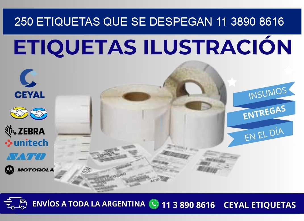 250 ETIQUETAS QUE SE DESPEGAN 11 3890 8616