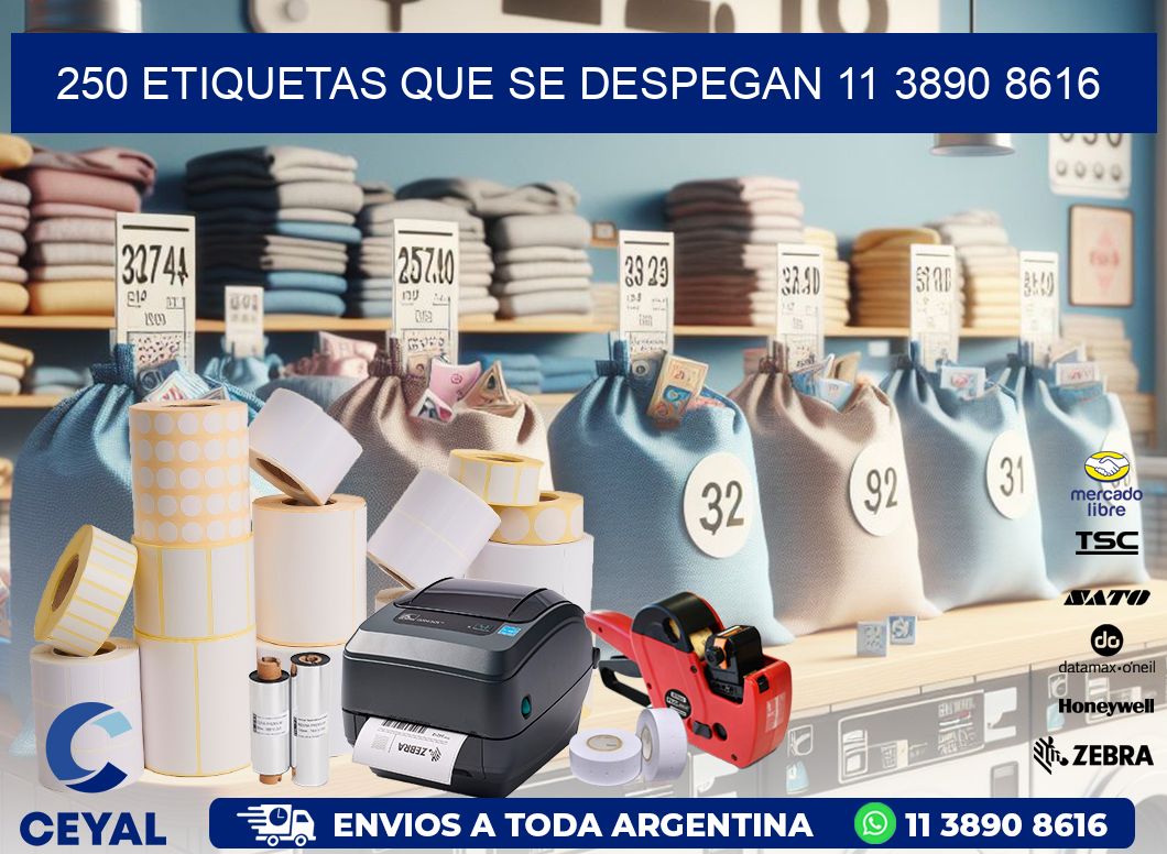 250 ETIQUETAS QUE SE DESPEGAN 11 3890 8616