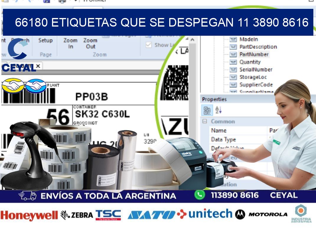 66180 ETIQUETAS QUE SE DESPEGAN 11 3890 8616