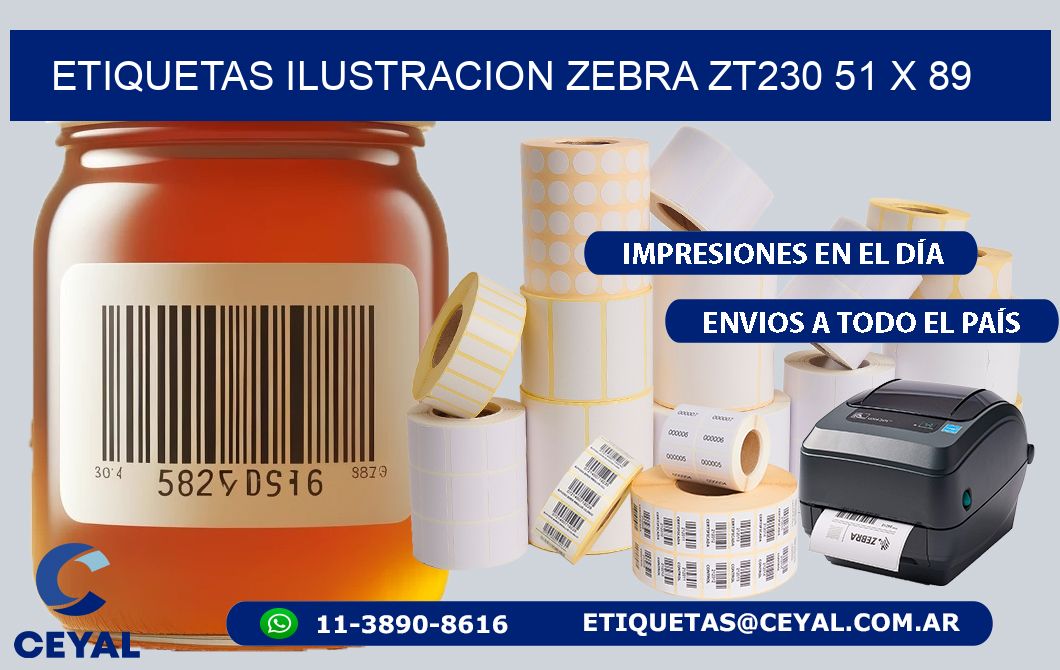 ETIQUETAS ILUSTRACION ZEBRA ZT230 51 x 89