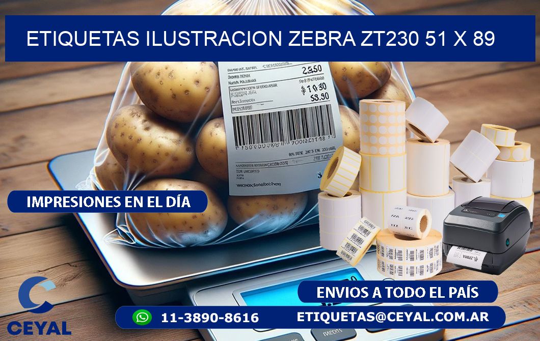 ETIQUETAS ILUSTRACION ZEBRA ZT230 51 x 89