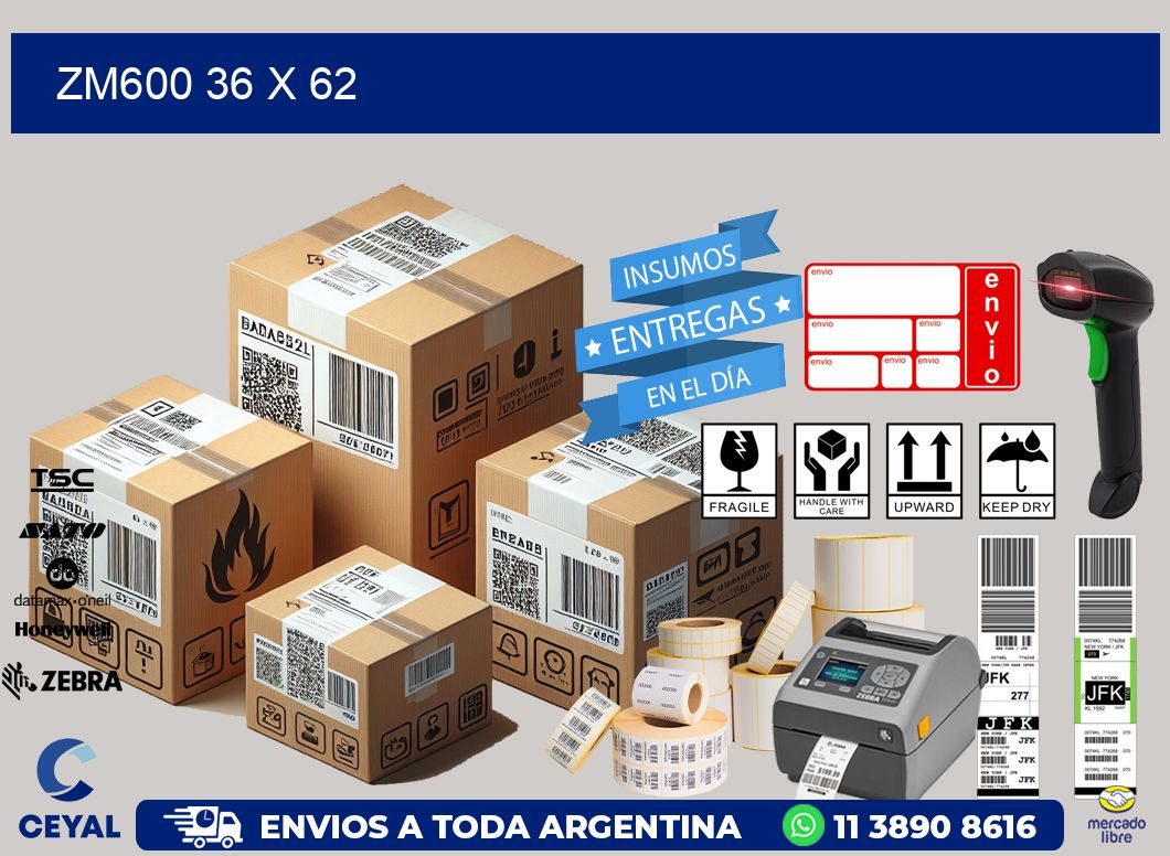 ZM600 36 x 62