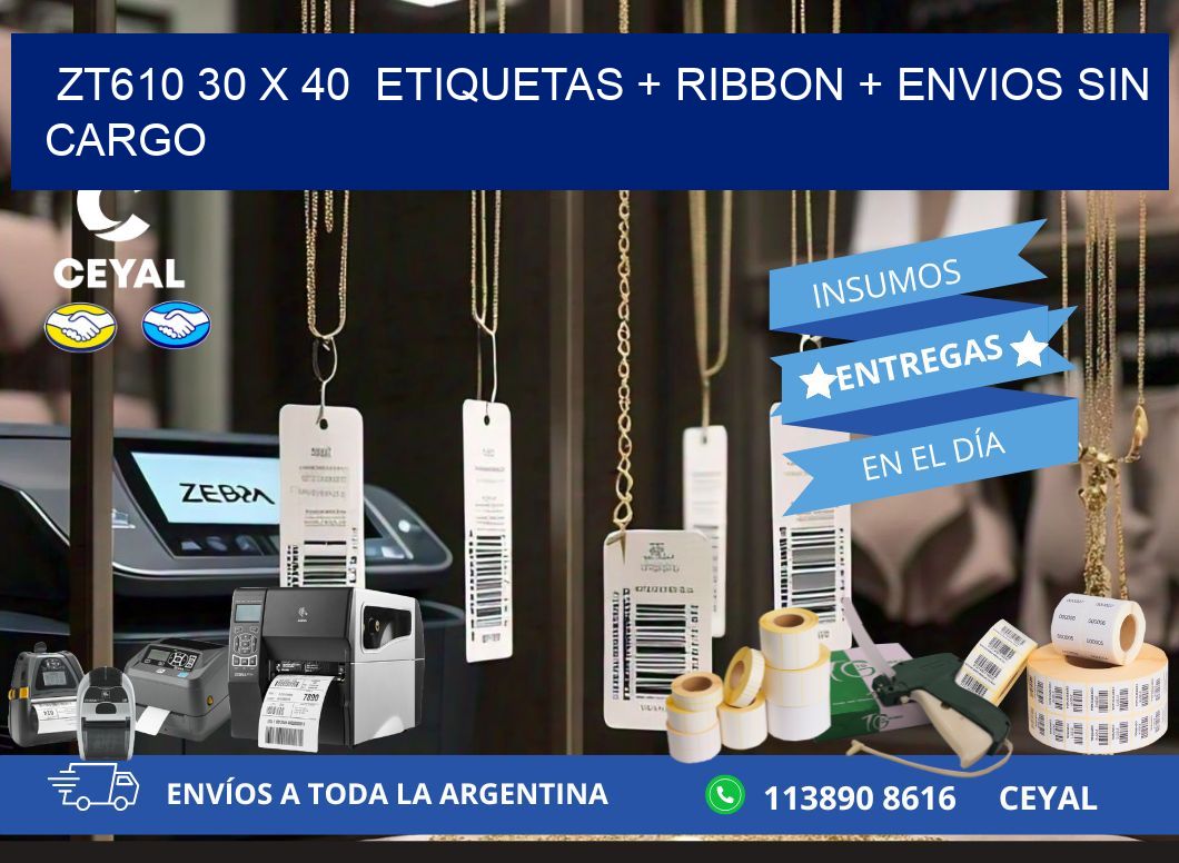 ZT610 30 x 40  etiquetas + ribbon + envios sin cargo