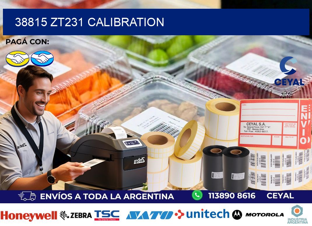 38815 ZT231 Calibration