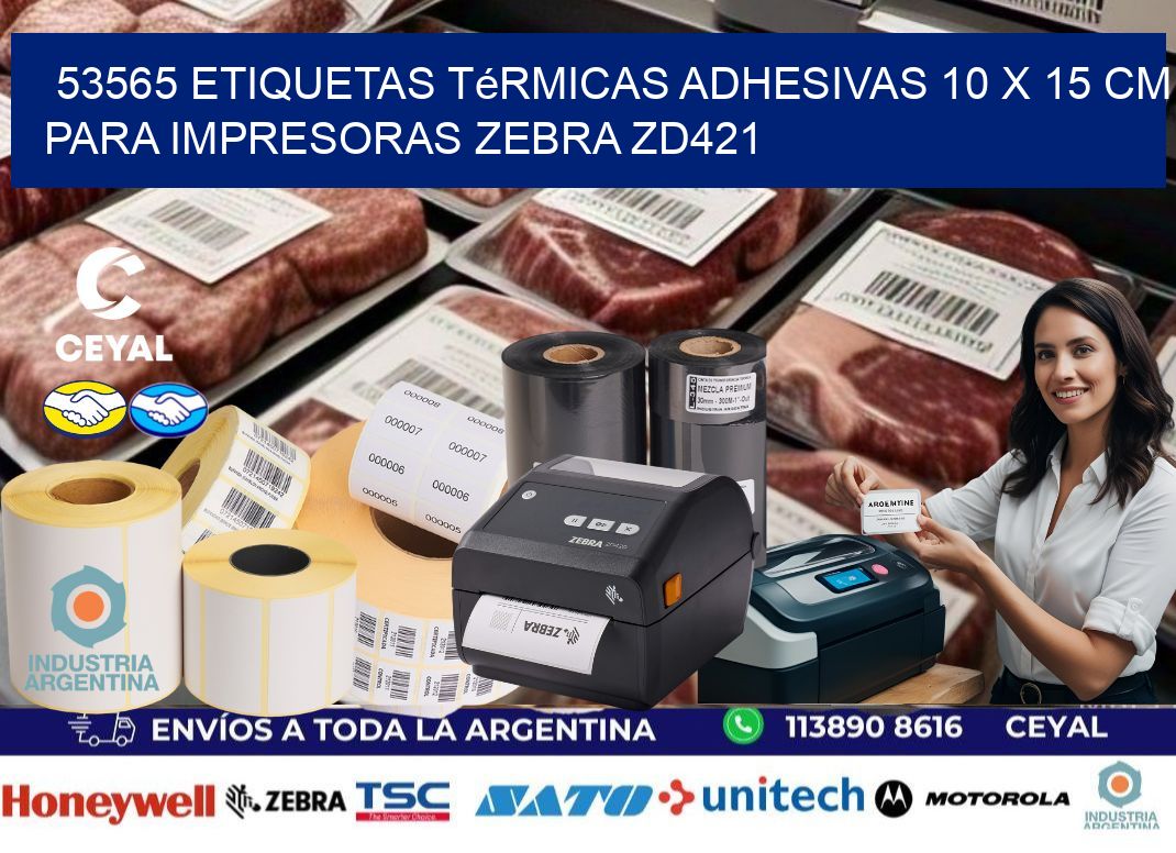 53565 Etiquetas Térmicas Adhesivas 10 x 15 cm para Impresoras Zebra ZD421