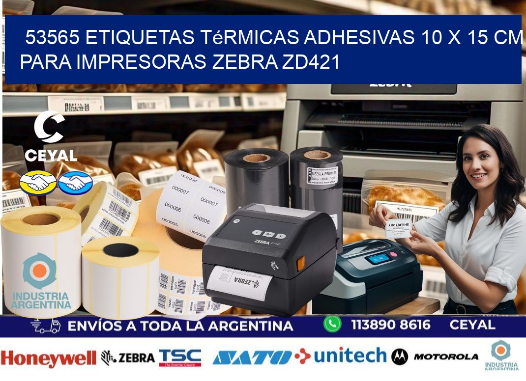 53565 Etiquetas Térmicas Adhesivas 10 x 15 cm para Impresoras Zebra ZD421
