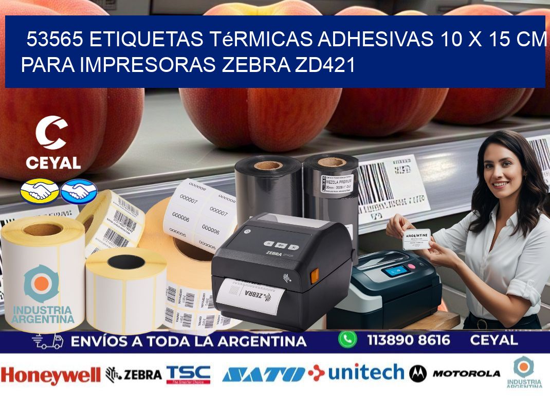 53565 Etiquetas Térmicas Adhesivas 10 x 15 cm para Impresoras Zebra ZD421