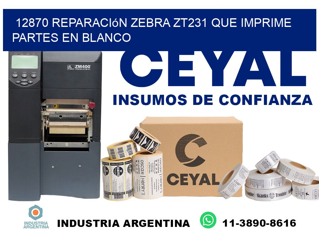 12870 reparación zebra zt231 que imprime partes en blanco