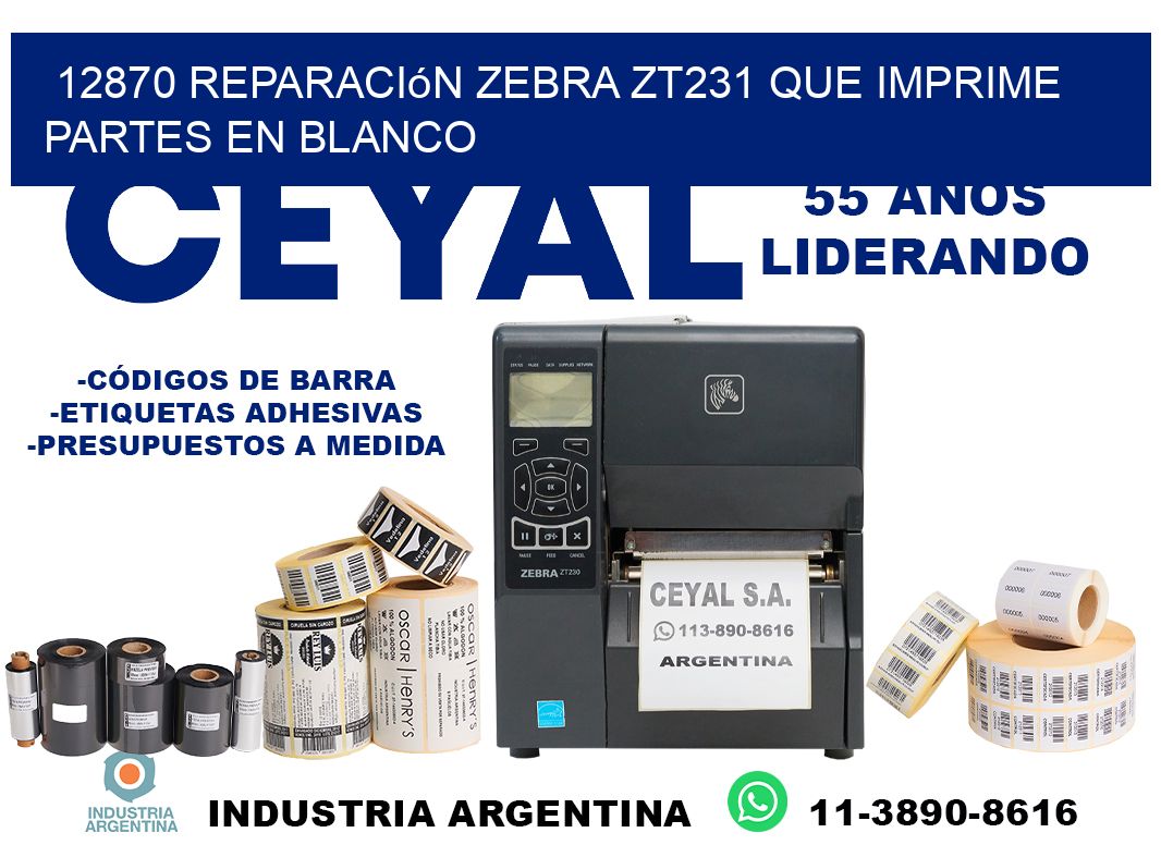 12870 reparación zebra zt231 que imprime partes en blanco