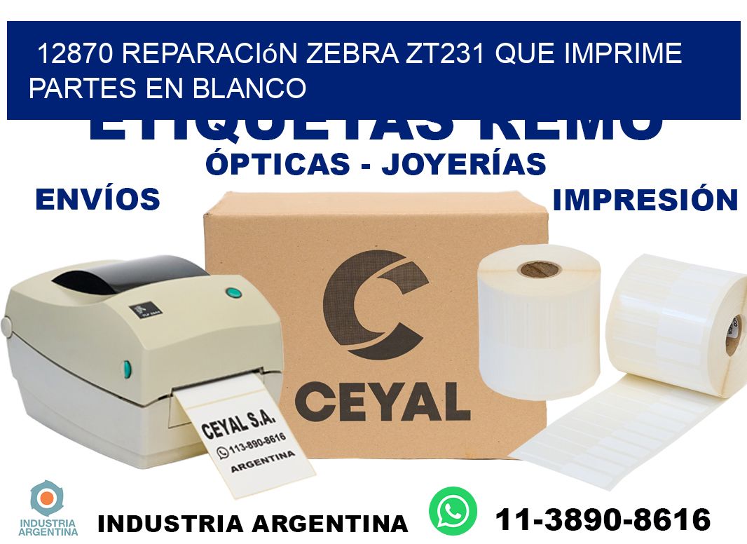 12870 reparación zebra zt231 que imprime partes en blanco
