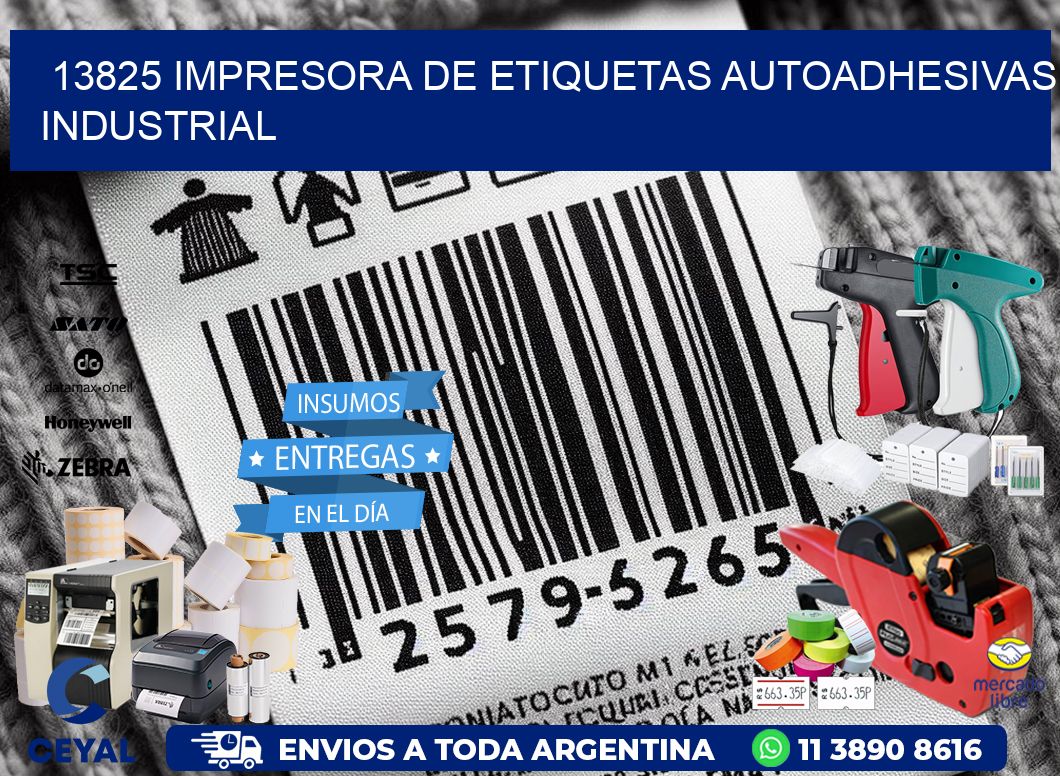 13825 Impresora de etiquetas autoadhesivas industrial