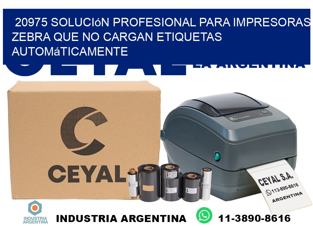 20975 solución profesional para impresoras zebra que no cargan etiquetas automáticamente