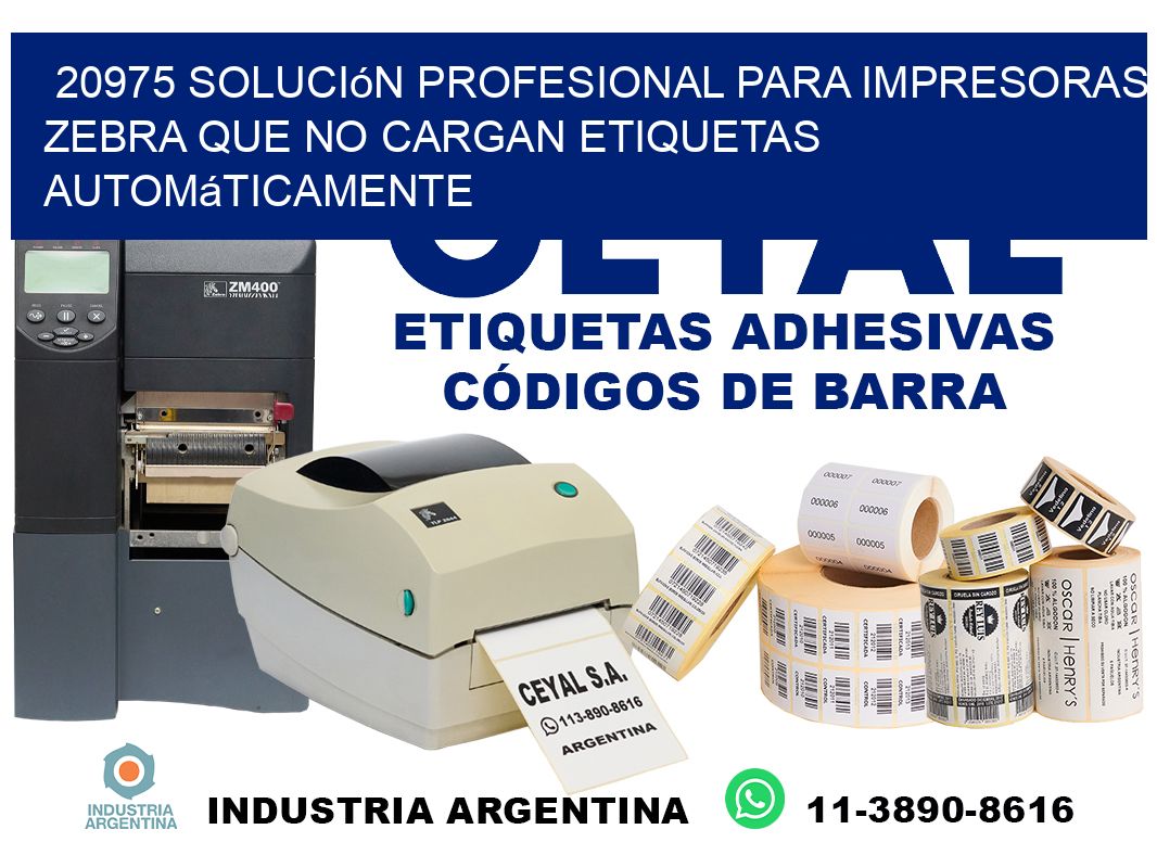 20975 solución profesional para impresoras zebra que no cargan etiquetas automáticamente