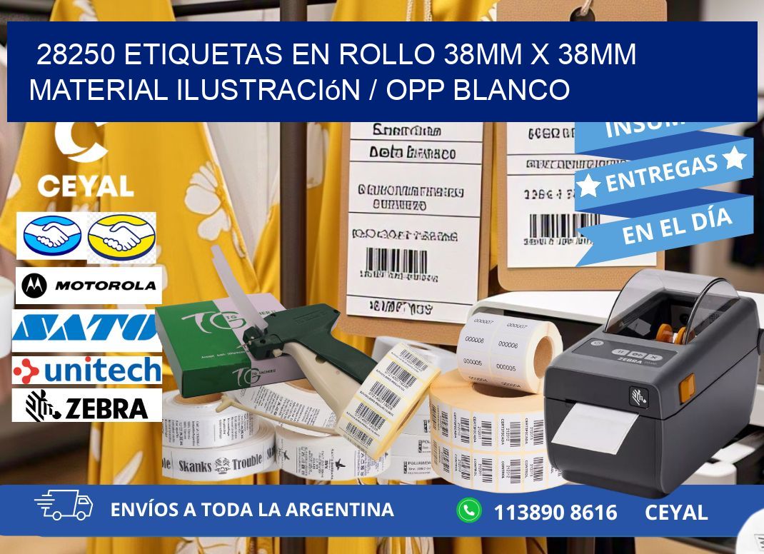 28250 Etiquetas en rollo 38mm x 38mm material Ilustración / OPP Blanco