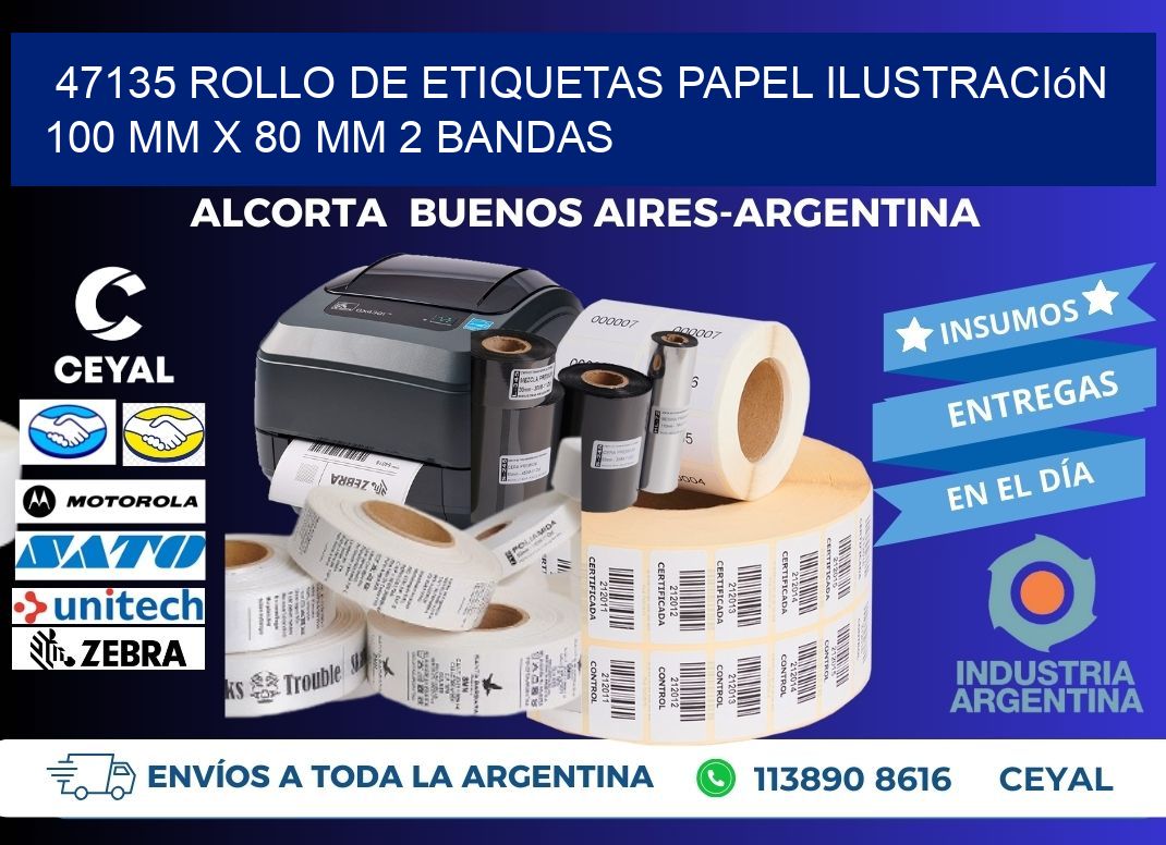 47135 Rollo de Etiquetas Papel Ilustración 100 mm x 80 mm 2 Bandas