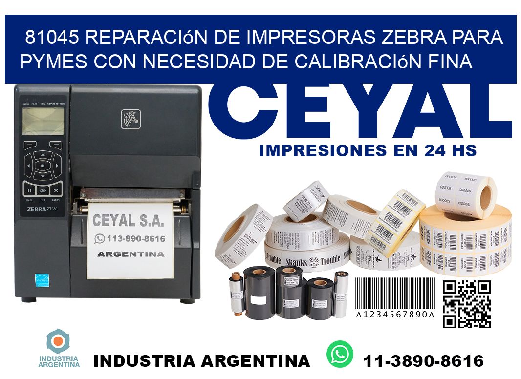 81045 reparación de impresoras zebra para pymes con necesidad de calibración fina