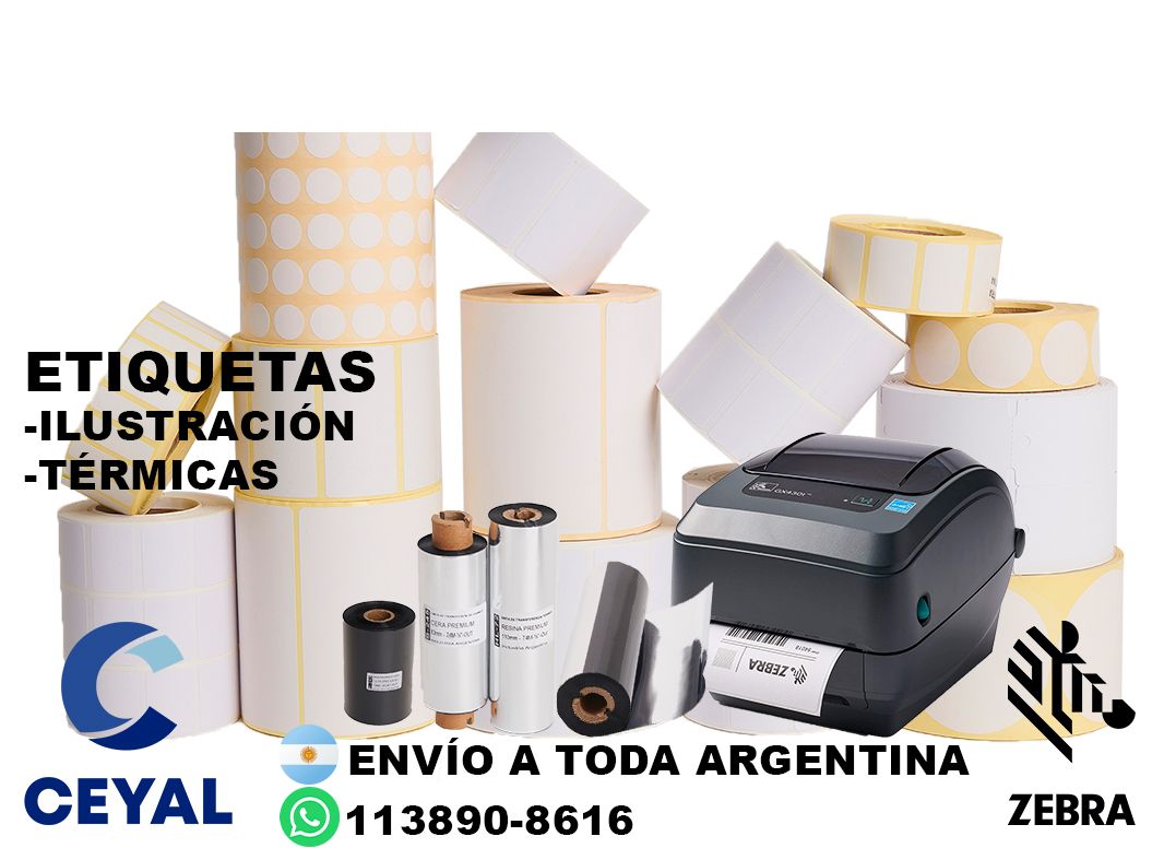 impresora TSC + 43140 etiquetas + ribbon