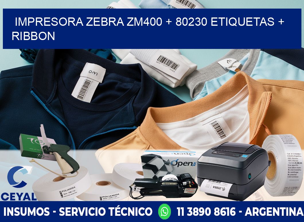 impresora zebra zm400 + 80230 etiquetas + ribbon