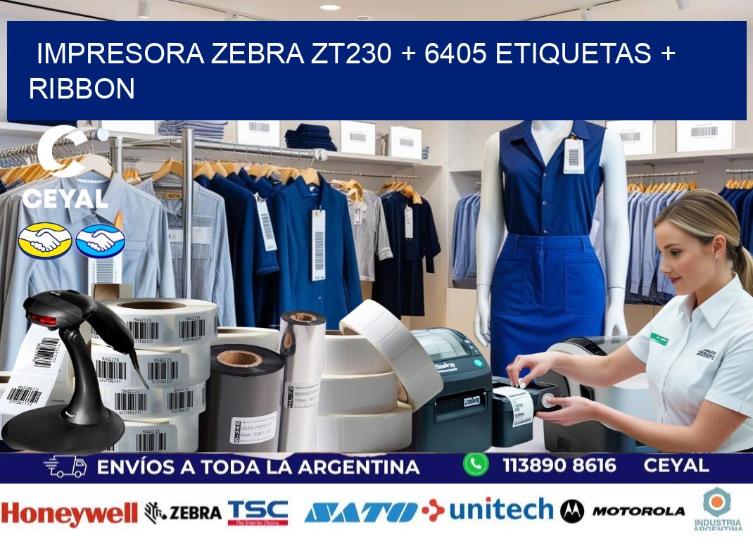 impresora zebra zt230 + 6405 etiquetas + ribbon