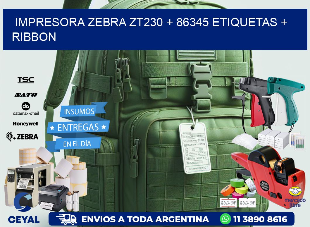 impresora zebra zt230 + 86345 etiquetas + ribbon