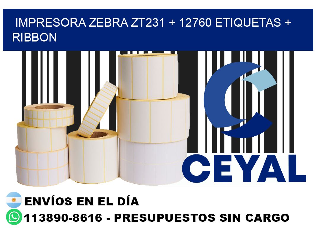 impresora zebra zt231 + 12760 etiquetas + ribbon