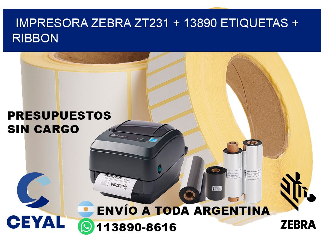 impresora zebra zt231 + 13890 etiquetas + ribbon