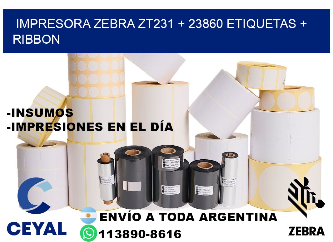 impresora zebra zt231 + 23860 etiquetas + ribbon