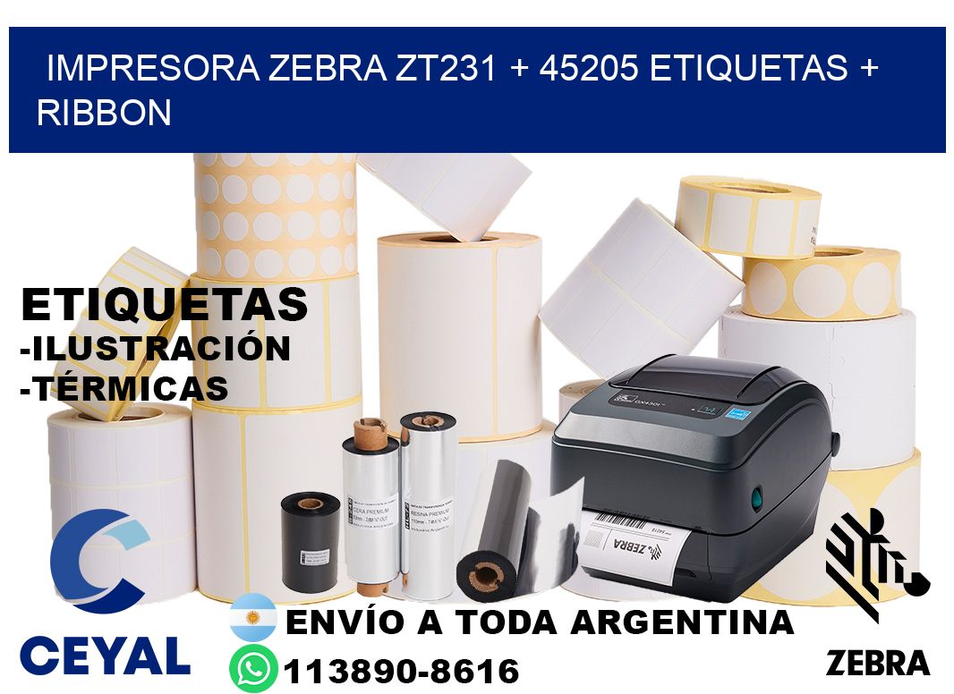 impresora zebra zt231 + 45205 etiquetas + ribbon