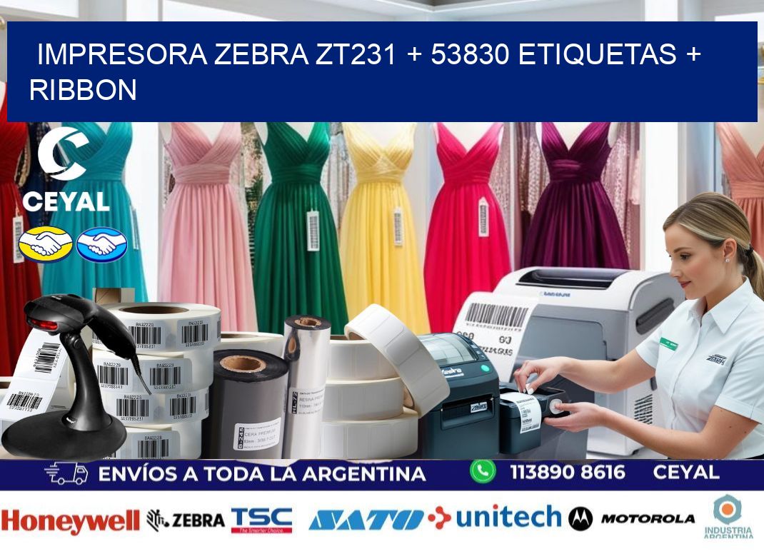 impresora zebra zt231 + 53830 etiquetas + ribbon