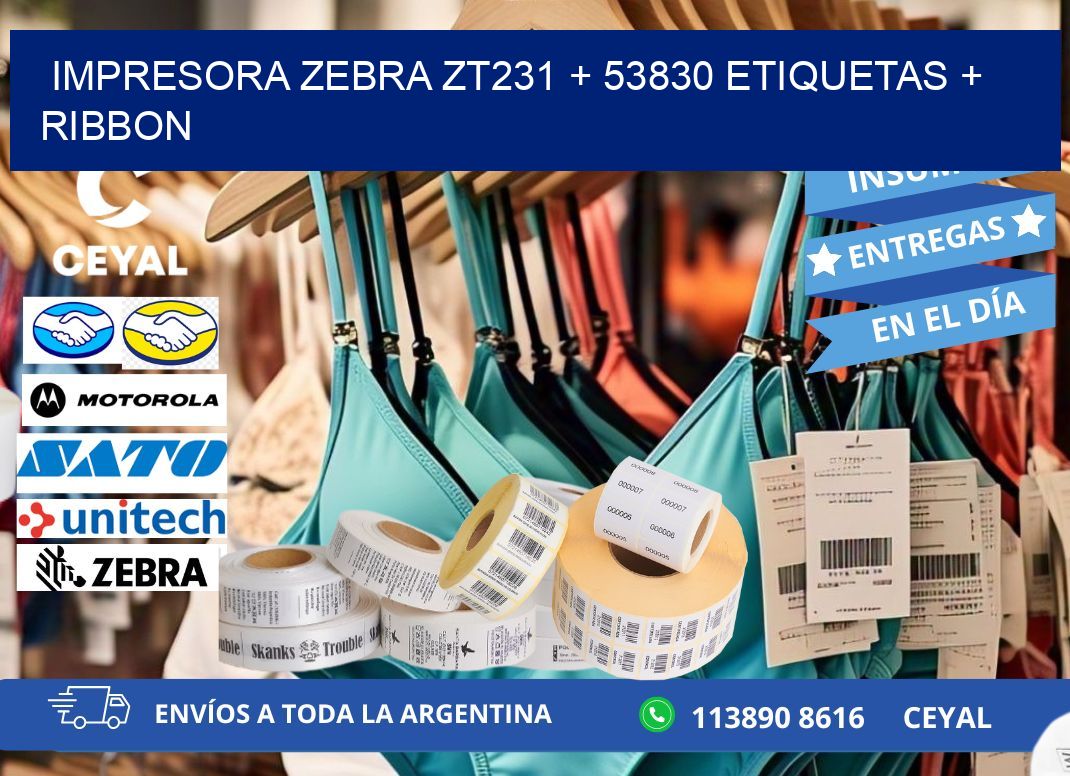impresora zebra zt231 + 53830 etiquetas + ribbon