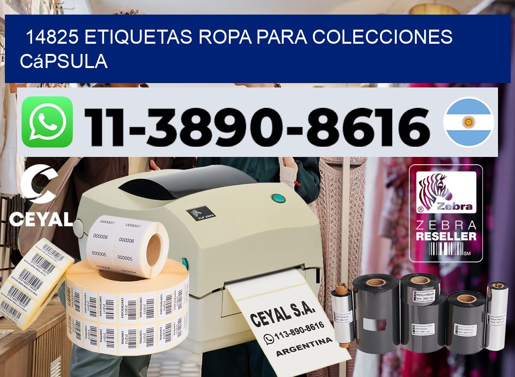 14825 Etiquetas ropa para colecciones cápsula