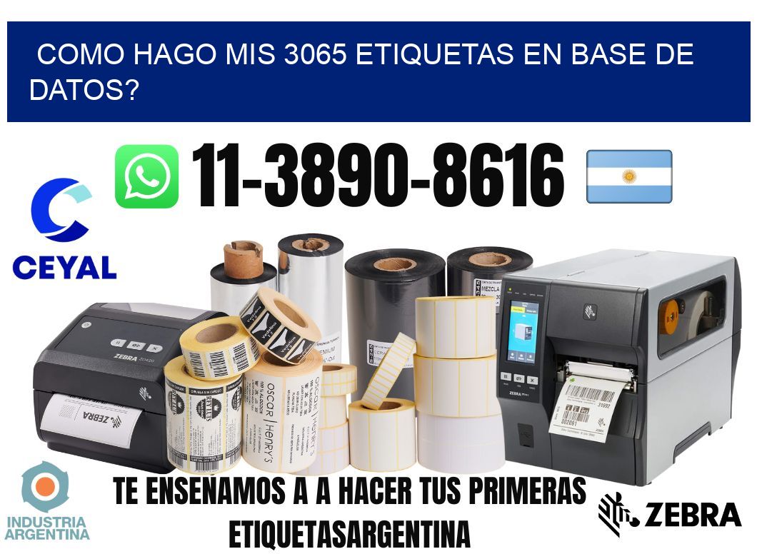 como hago mis 3065 etiquetas en base de datos?