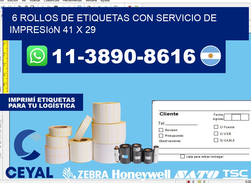 6 rollos de etiquetas con servicio de impresión 41 x 29