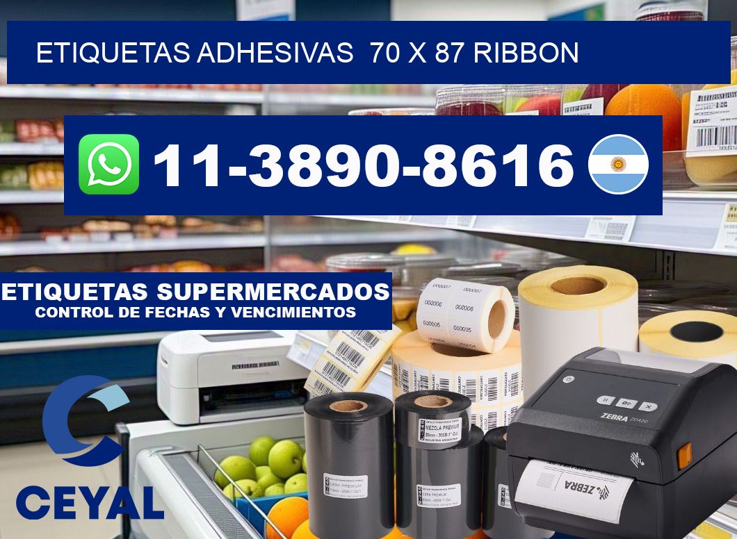 Etiquetas adhesivas 70 x 87 ribbon