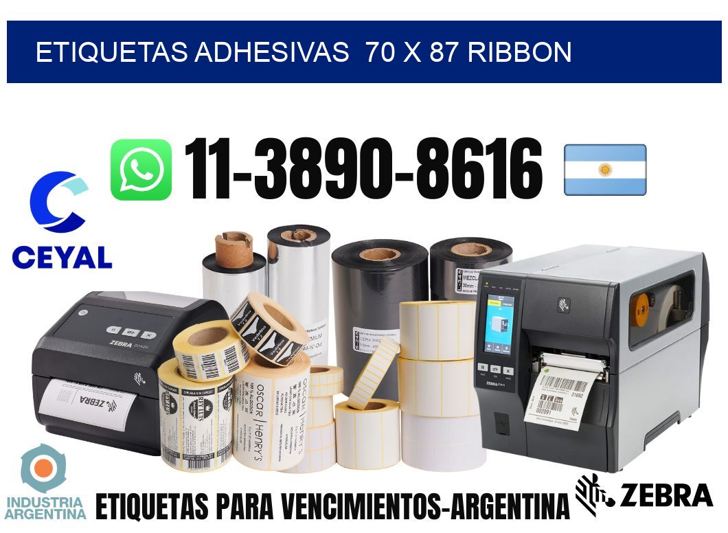 Etiquetas adhesivas 70 x 87 ribbon