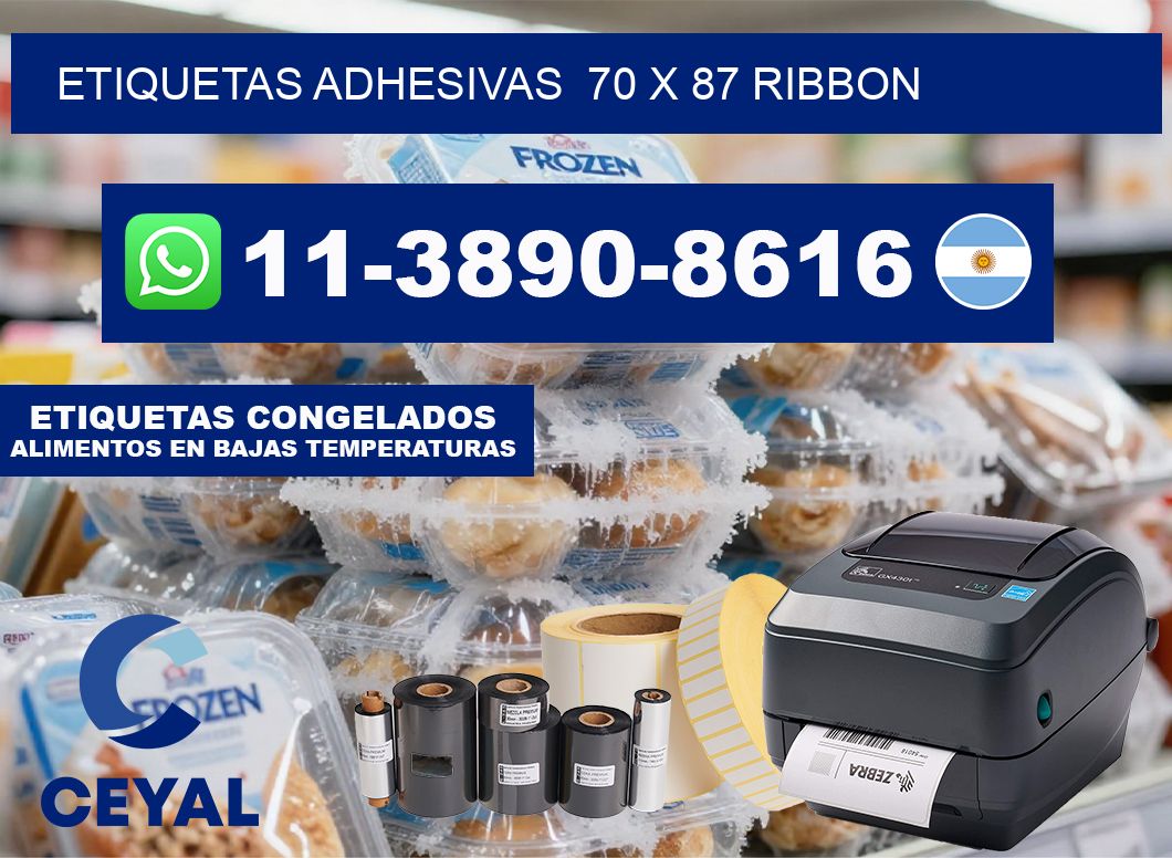 Etiquetas adhesivas  70 x 87 ribbon